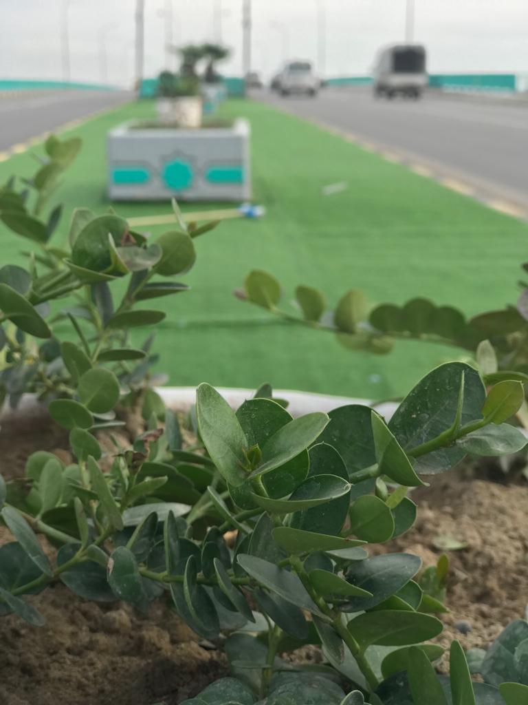 صيانة وتأهيل وتجميل جسر الولادة في كركوك 