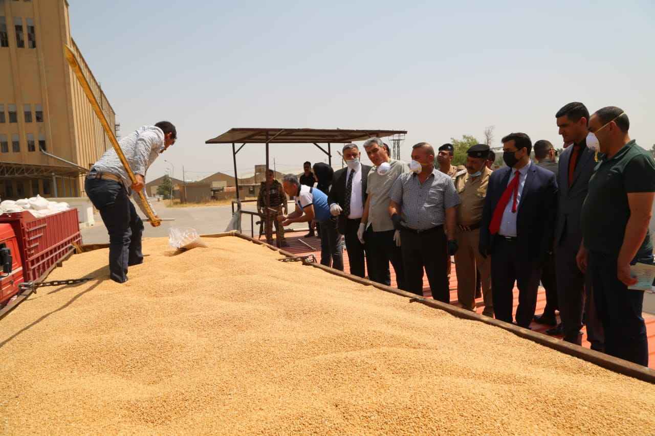    السيد المعاون الفني لمحافظ كركوك  يعلن البدأ باستلام محصول الحنطة في سايلوات كركوك 