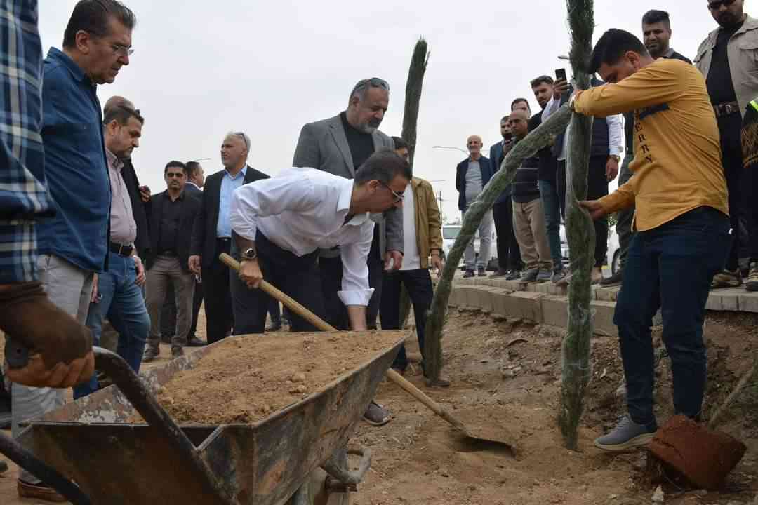 محافظ كركوك ريبوار طه مصطفى   يقف مع كوادر البلدية والحدائق ويقوم بنفسه بزراعة اشجار السرو العمودي لأول مرة في المدينة